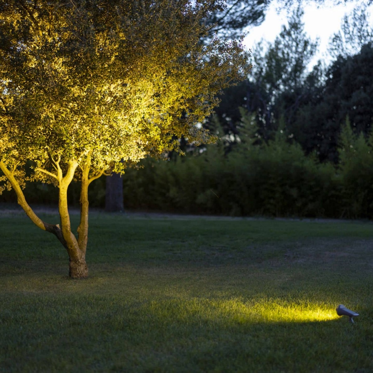 solar powered light with spotlight head