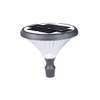 Decorative Solar Pathway Light