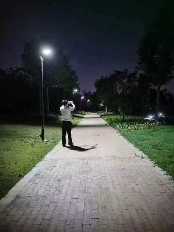 solar-street-light-garden (1).jpg