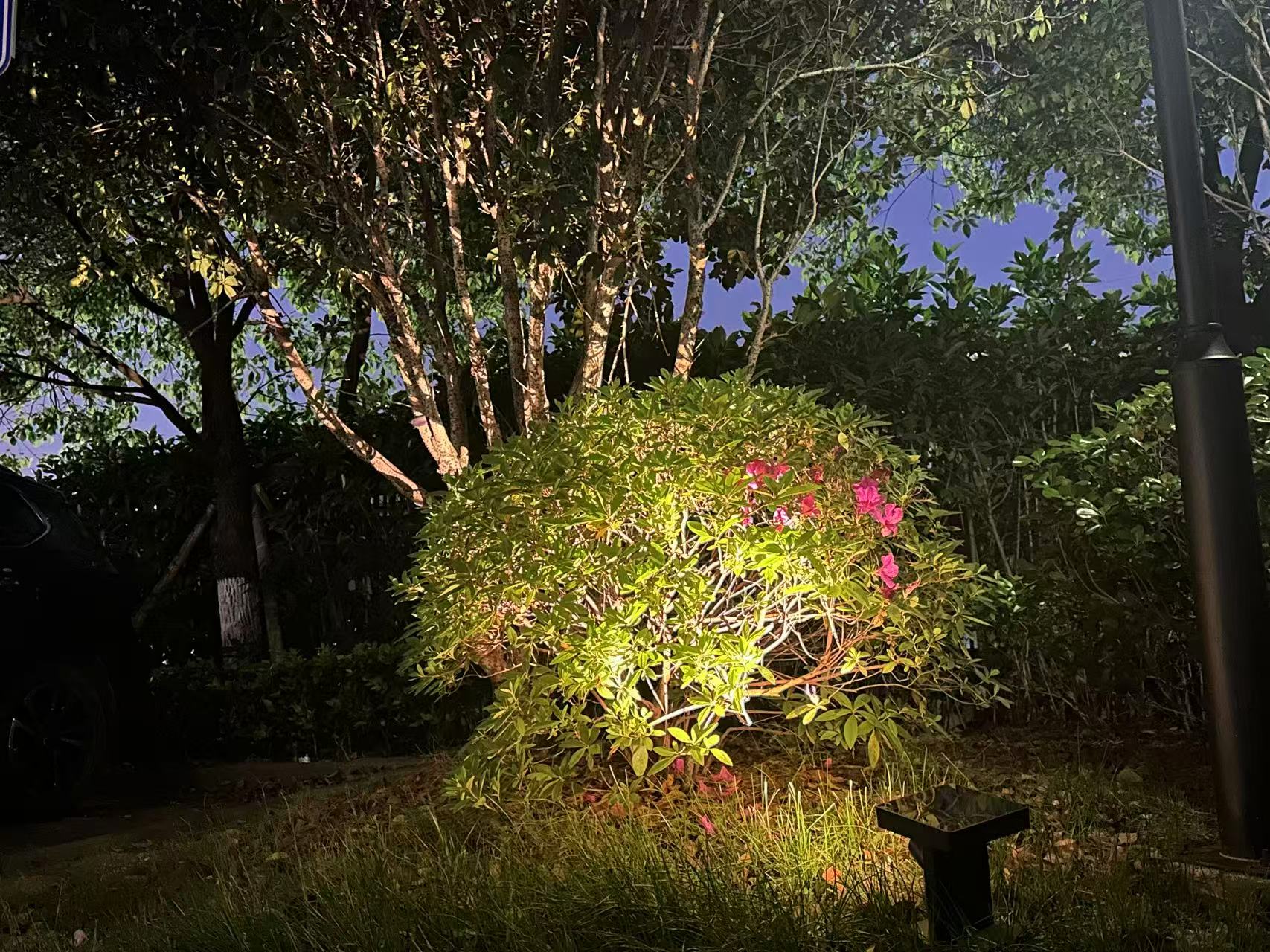 solar-spot-light-garden.jpg