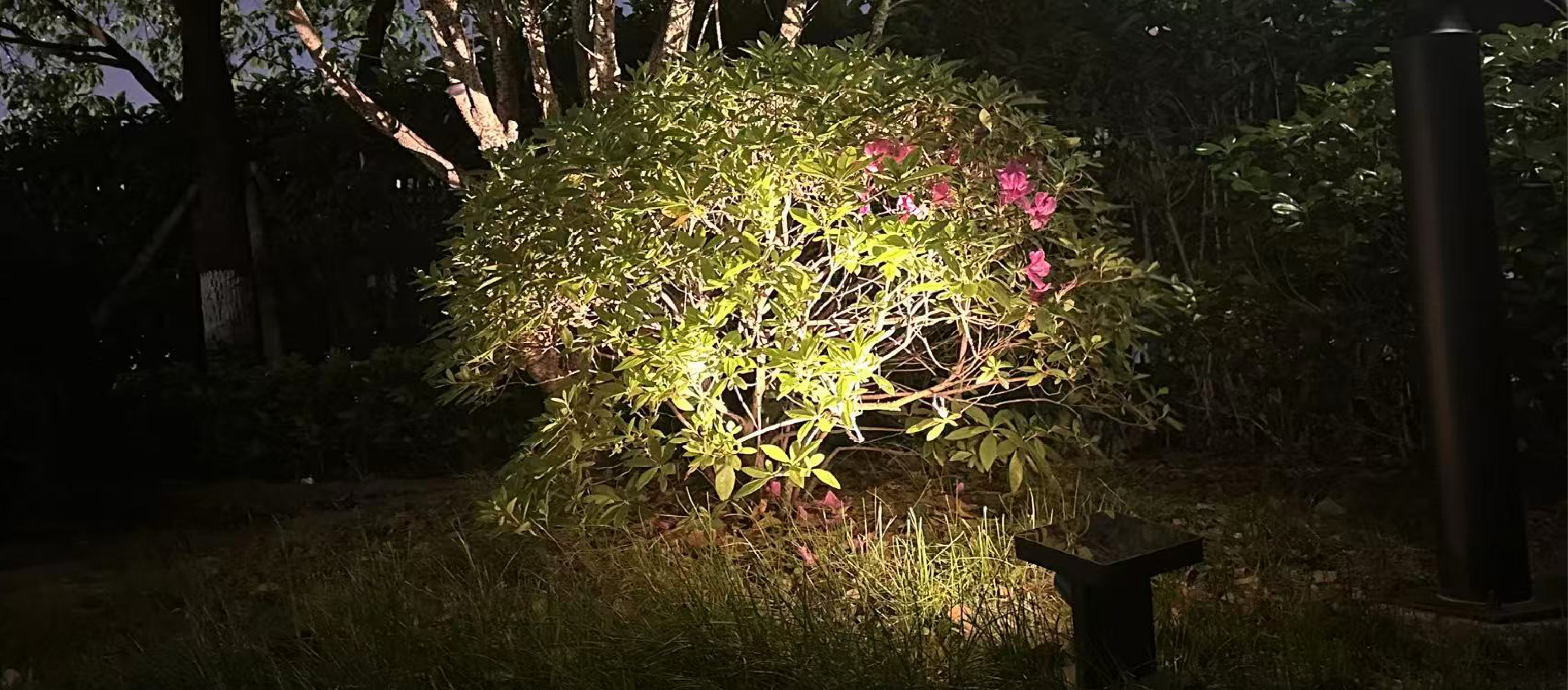 Simple Steps to Extend the Life of Your Solar Bollard Lights 