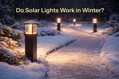 Do Solar Lights Work in Winter.jpg