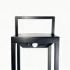 solar portable light with handle