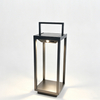 solar landscape light with handle