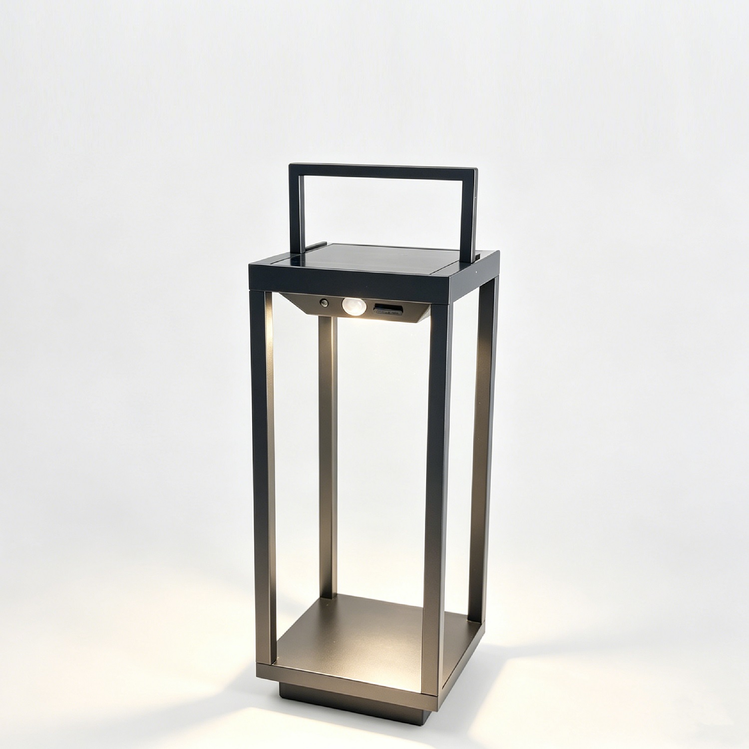 solar landscape light with handle